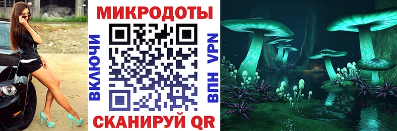 Купить где Киселёвск Галлюциногенные грибы Psilocybine cubensis